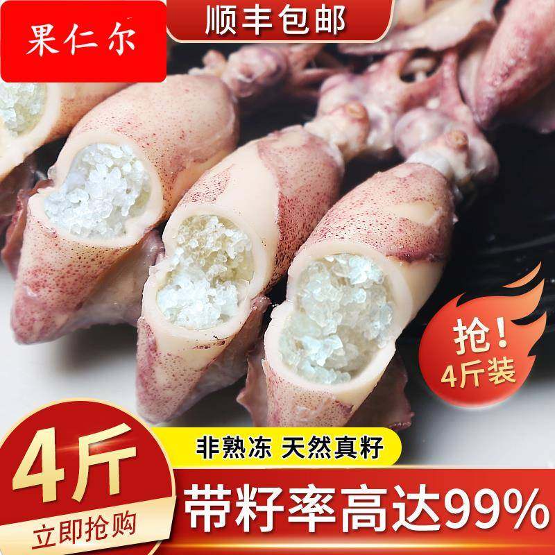海兔子满籽新鲜活笔管鱼带籽海兔海鲜鲜冻全籽籽乌整箱小鱿鱼水产