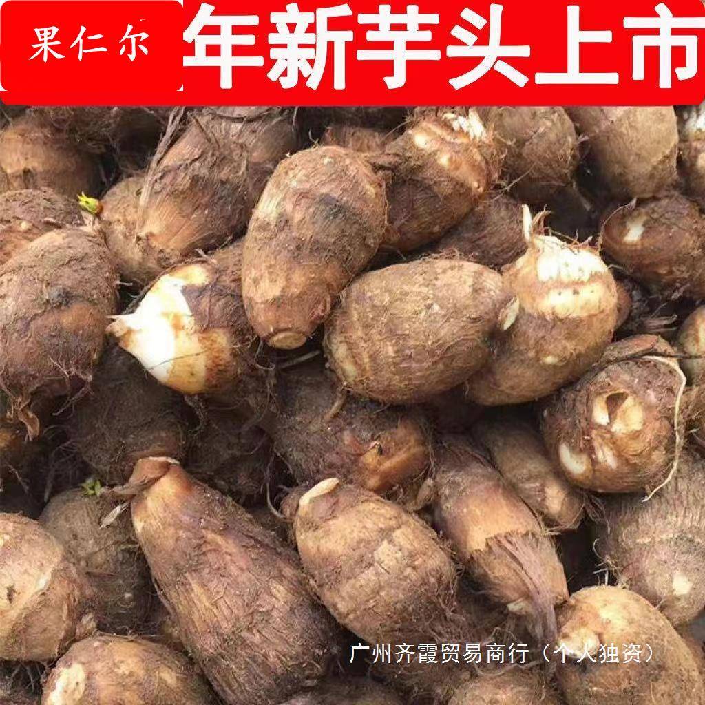 2024年山东芋头牛奶小芋头新鲜毛芋头现挖奶油芋艿软糯丝滑当季蔬