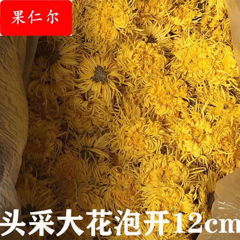 金丝皇菊散装 黄菊大花散称菊花茶大朵茶叶罐装散货去火