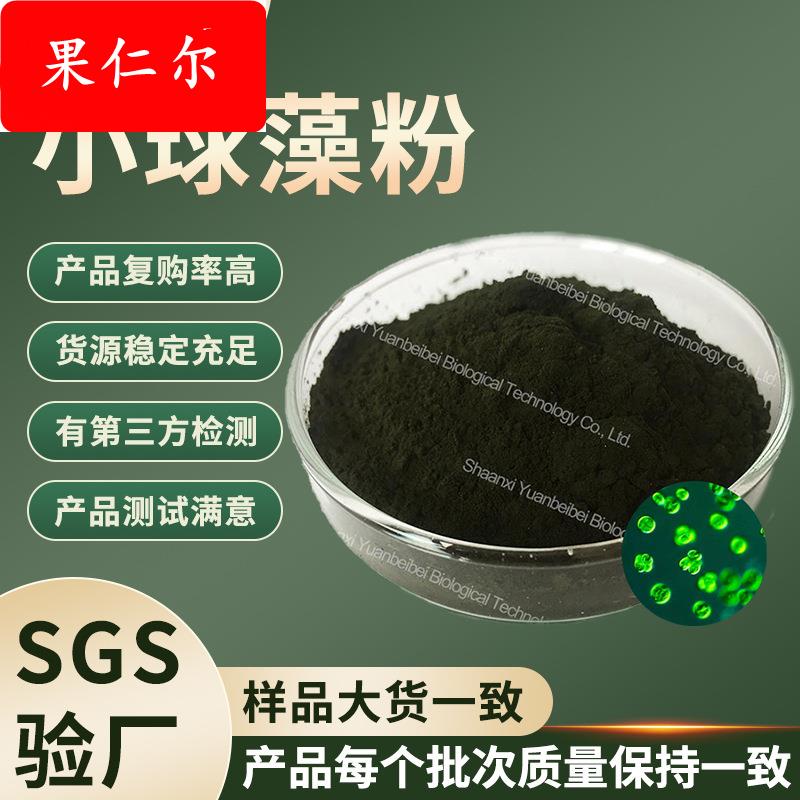 行业精选小球藻粉食品级小球藻提取物现货原料破壁蛋白核小球藻粉