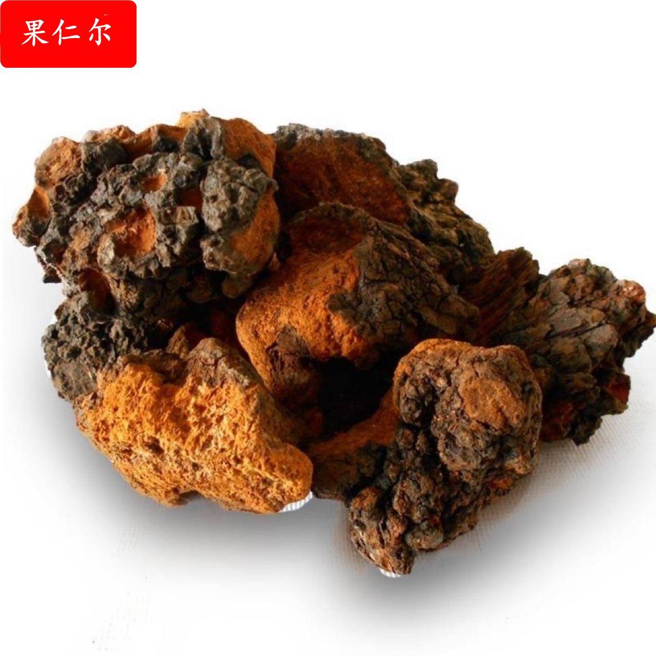 桦树茸 白桦茸 桦褐孔菌 500克