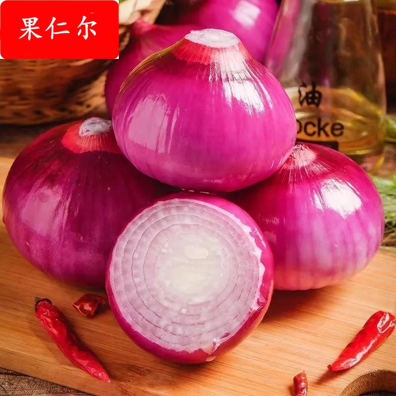 现摘水果洋葱紫皮圆葱新鲜蔬菜农家甜味生吃红洋葱水果包邮