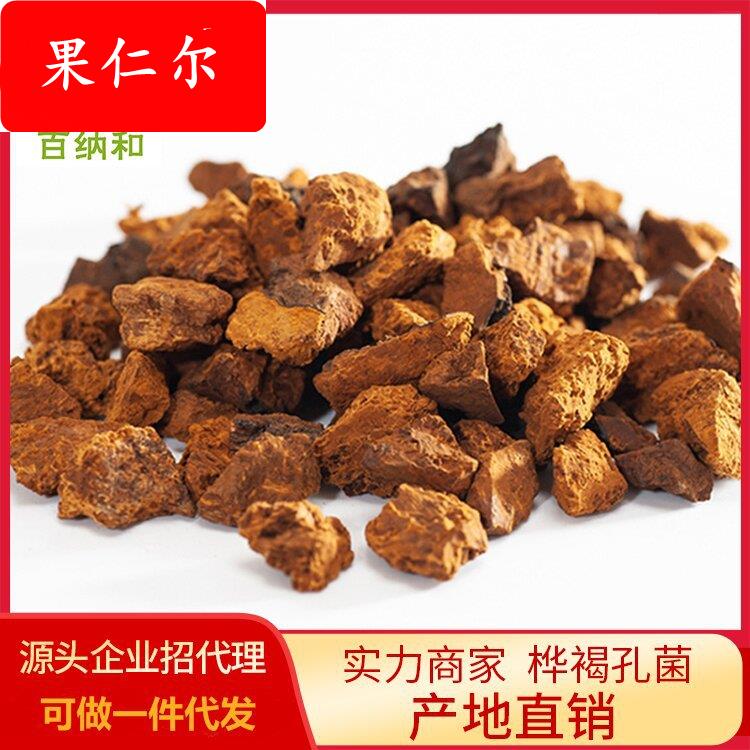 【百纳和】厂家发货白桦茸 桦树茸 桦褐孔菌颗粒 桦树茸颗粒