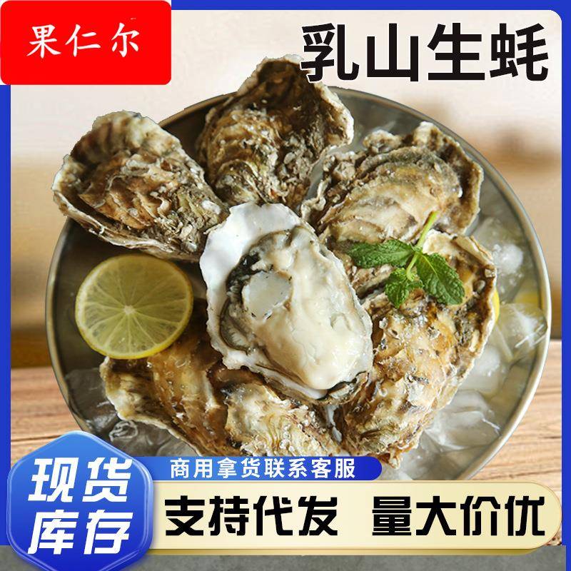 乳山生蚝5斤带箱海鲜水产海蛎子新鲜大牡蛎肉贝类商用鲜活水产