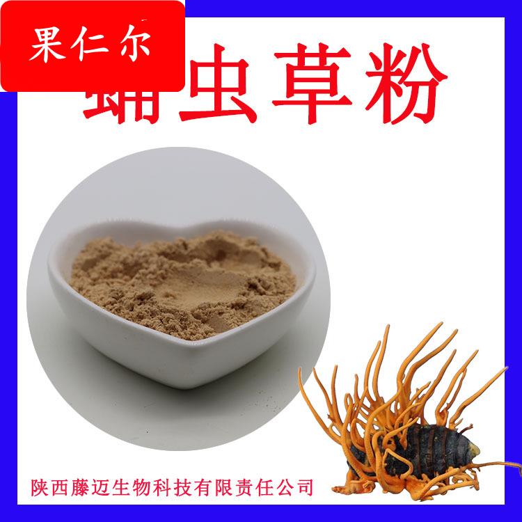 蛹虫草粉支持检测子实体蛹虫草粉原粉现货蛹虫草花粉