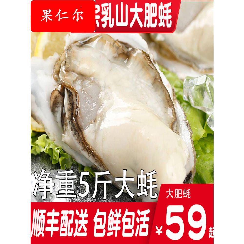 ly乳山生蚝鲜活特大箱净重5斤海鲜海蛎子新鲜乳山牡蛎非10斤