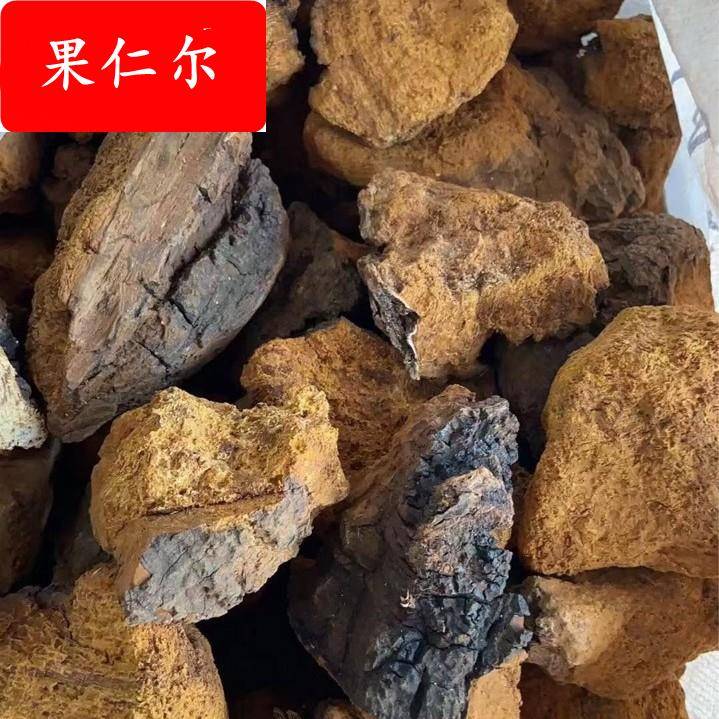 华树茸 白桦茸 桦褐孔菌 各种规格 厂投料 代嚰粉