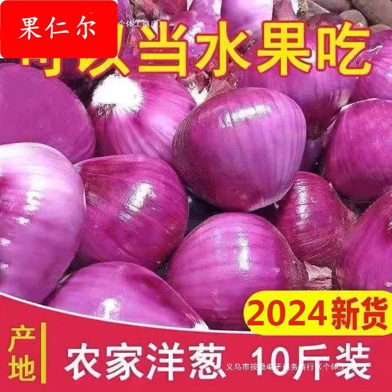 云南紫皮小洋葱新鲜斤圆葱大凉山洋葱蔬菜红皮特产农家元葱水果