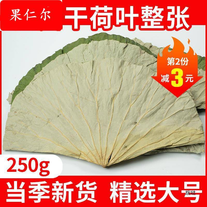 四川荷叶整张250干荷叶叫花鸡糯米鸡木桶饭荷叶粥新鲜荷叶片