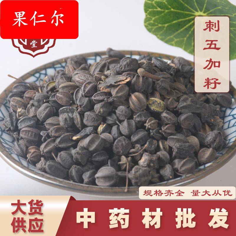 中药材刺五加籽 散装品质刺五加果刺五加子 大货供应