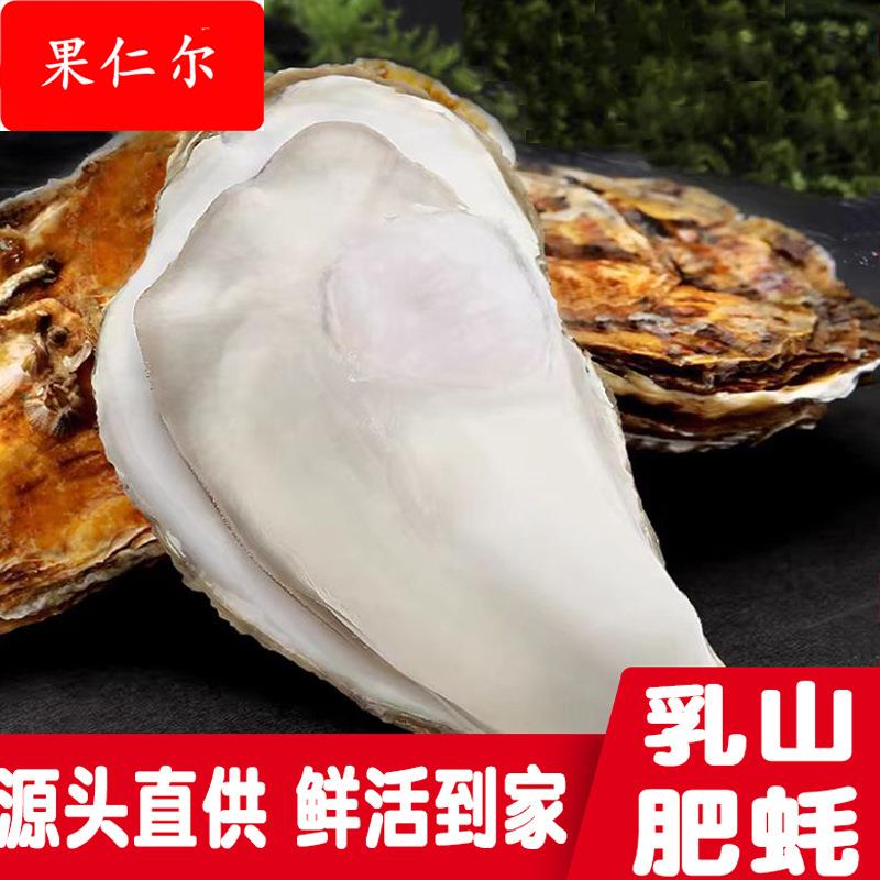 乳山生蚝5斤装鲜活乳山牡蛎新鲜海蛎子顺丰发货餐饮采购