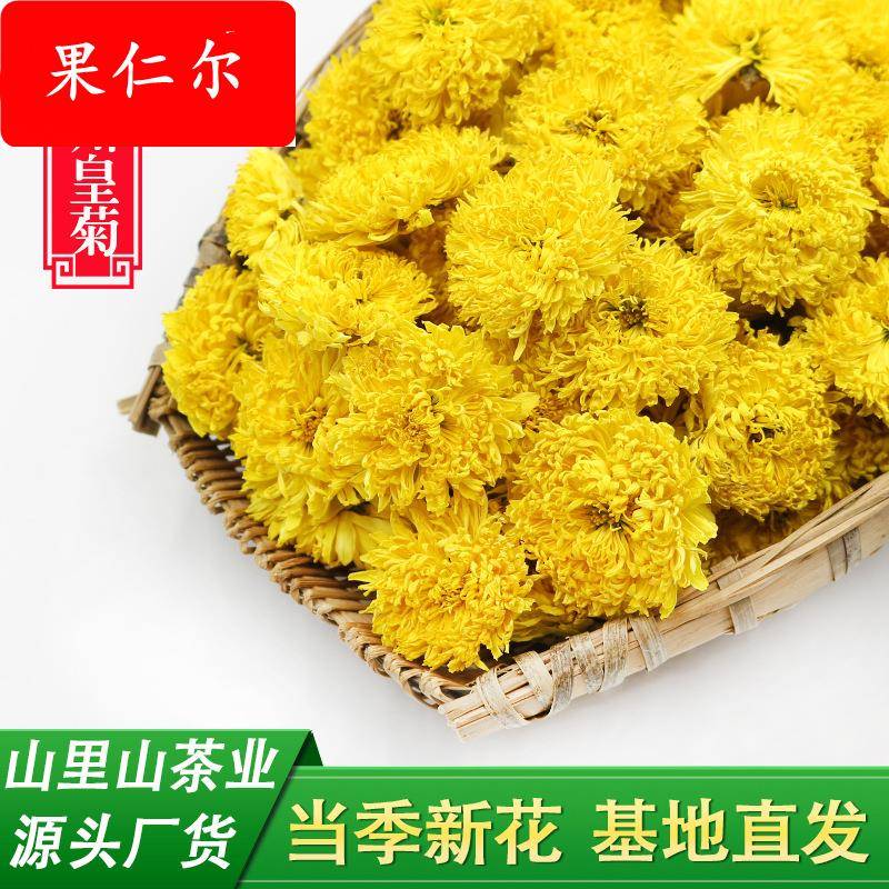 四十年基地 黄山徽州皇菊菊花茶散装陶菊婺源皇菊球菊黄菊花