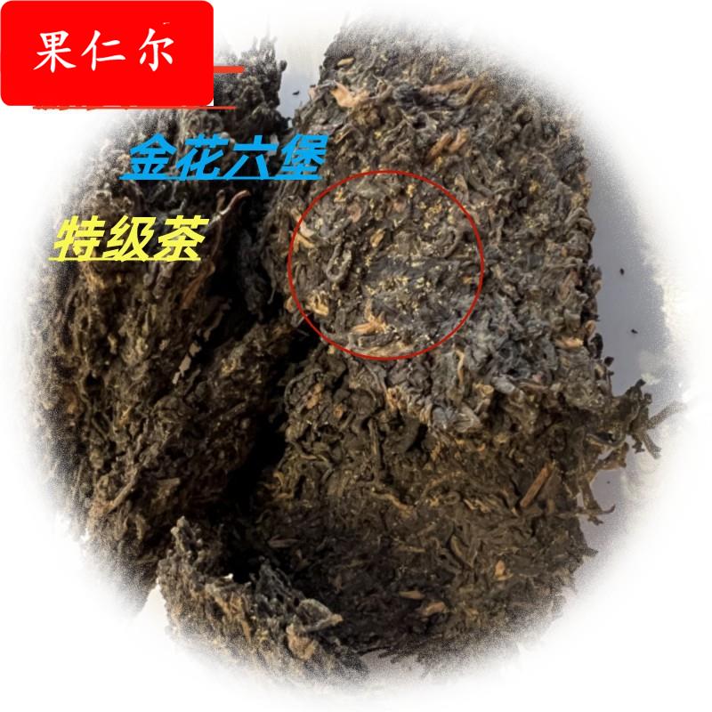 广西梧州黑茶金花六堡茶厂家直供菌香干仓陈年散茶叶