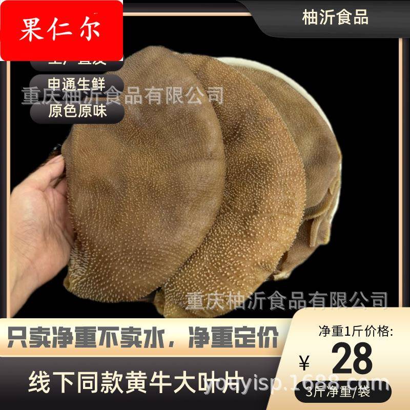毛肚5斤装新鲜大叶片牛肚千层肚牛百叶商用牛杂重庆火锅食材