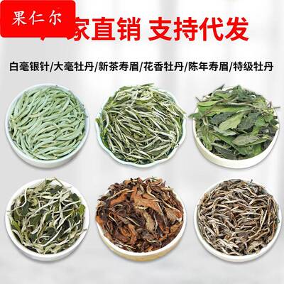 厂家试喝新茶白毫银针老白茶白牡丹散茶枣香寿眉山春茶