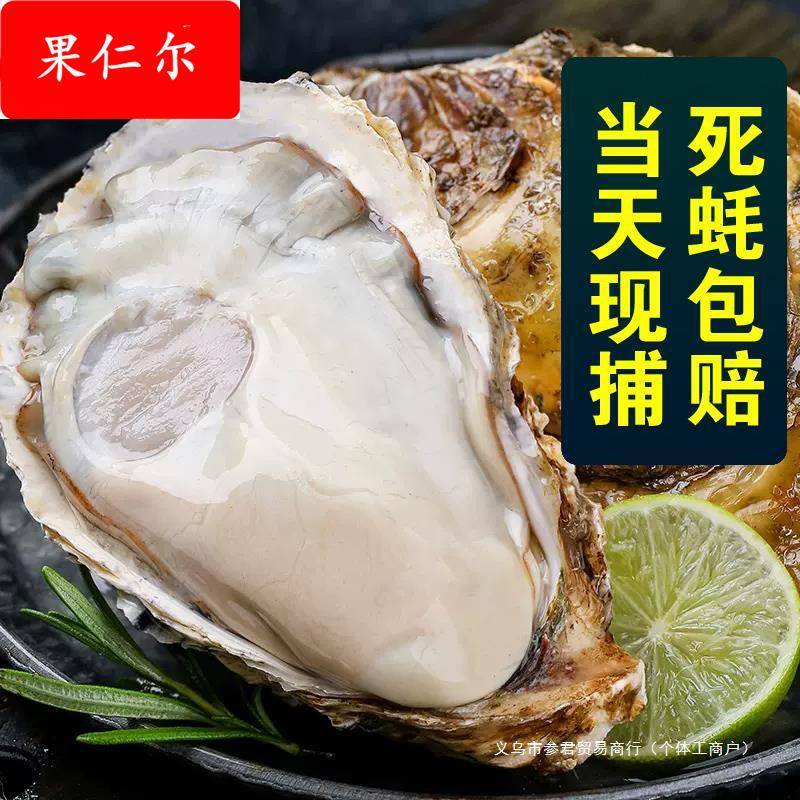 包活鲜活乳山生蚝新鲜牡蛎超大特大肉海蛎子5斤刺身即食海鲜水产