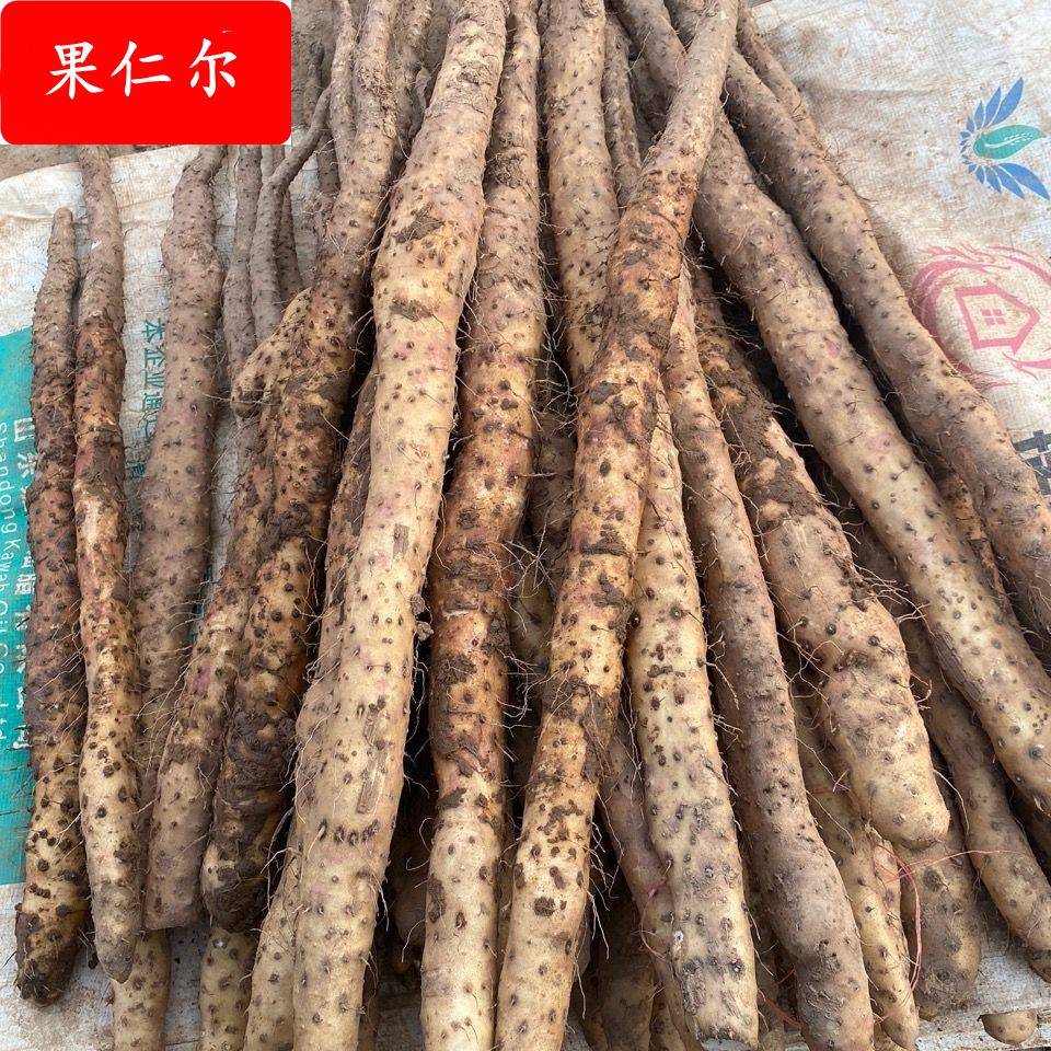河南焦作铁棍怀山药温县垆土铁棍山药自己家种植温县直发包邮