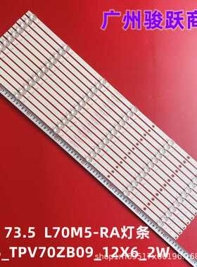 适用适用全L70M5-RA灯条HRS_TPV70ZB09_12X6_2W_MCPCB14MM_V4灯条