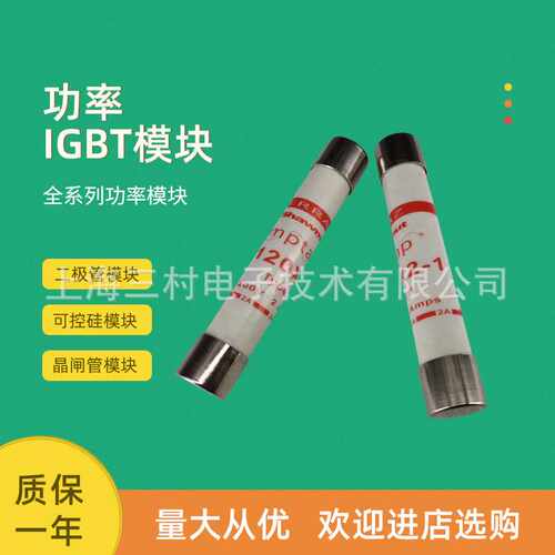 全新熔断器保险丝A120X2-1 A120X3-1 A120X4-1 A120X5-1 A120X6-1