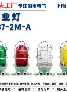 船用工程铝质白炽作业灯DS7-2M-A吸灯式露天场所照明灯 792055-A