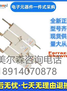 美尔森熔断器  D300SE24C80QF  L079475  D300SE24C100QF M079476