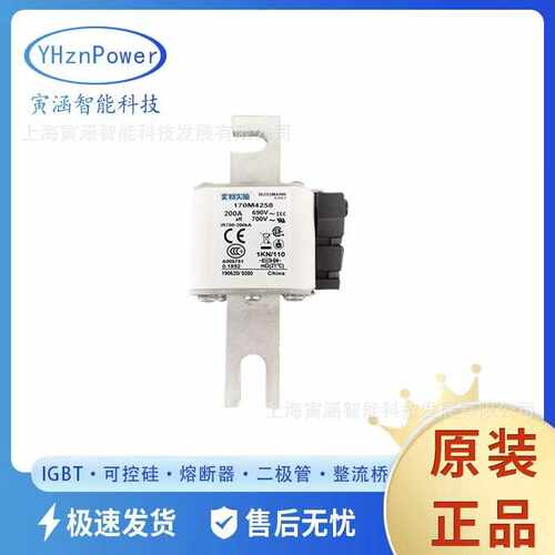 智能低压熔断器/保险丝现货 170M4258  200A 700V