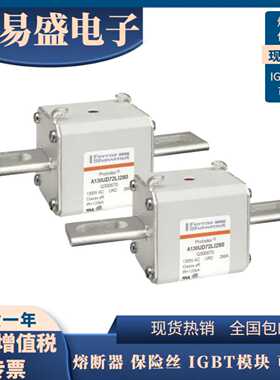 罗兰熔断器A110UD72LI700 Z300678全新 A110UD72LI800  A300679