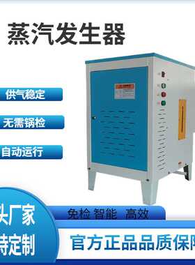 48KW小型锅炉蒸汽机 立式电动锅炉 混凝土养护蒸汽发生器