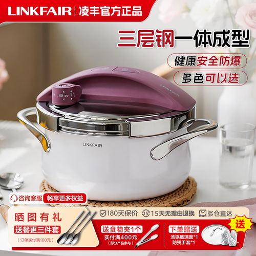 凌丰防爆迷你小型高压锅