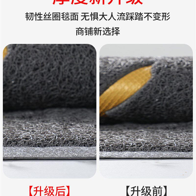 入户门地垫进门大门口p丝圈脚垫门外玄关进户除尘地毯出入平安门