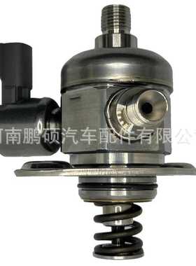 F01R00NA11 2022009900 F01R00NA78 适用于吉利 1.8T 高压燃油泵