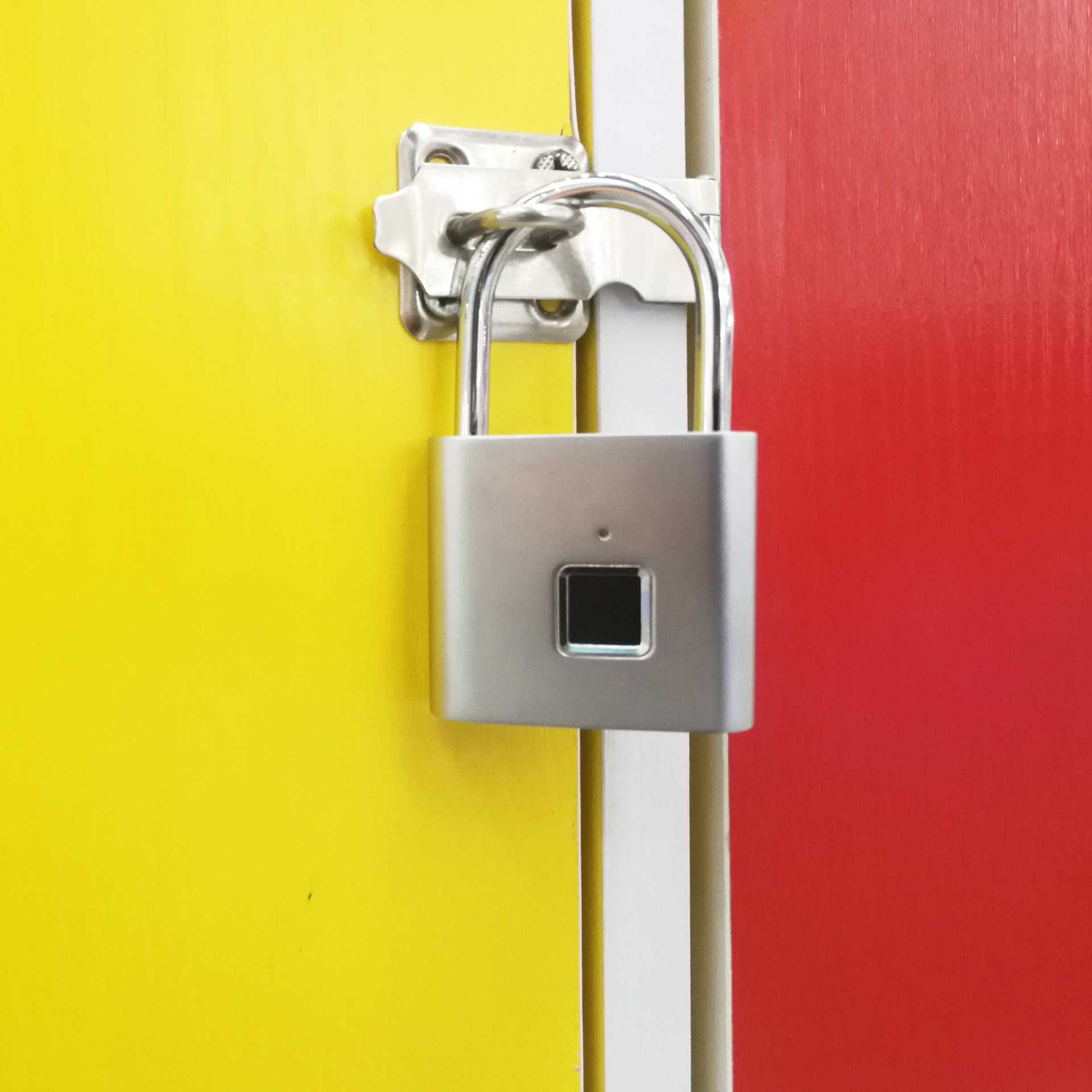 【电商爆款】指纹挂锁-锌合金经典款式指纹小挂锁跨境佳品