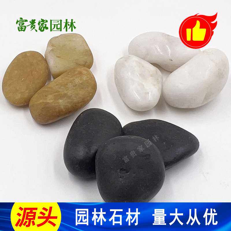 广州供应 五彩雨花石花盆鱼缸铺面用 公园造景绿化鹅卵石规格齐全