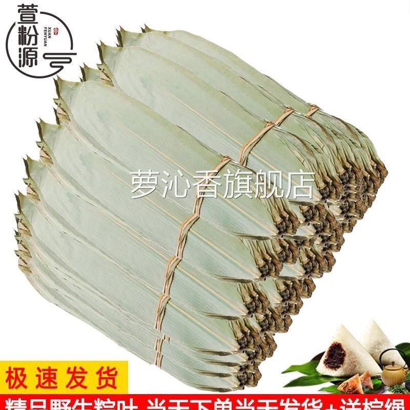 粽叶新鲜大叶广西粽叶干大号送粽绳粽子叶价烘干粽叶60/120张