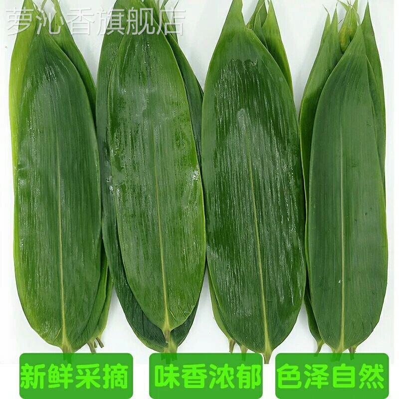 粽叶新鲜粽子叶大号包粽子专用大宽叶粽子叶子真空包粽子的叶子