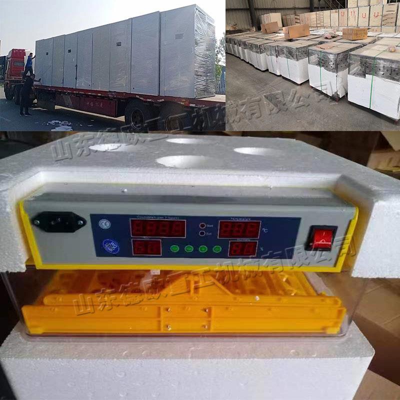 双系统控制面板出雏设备 全自动智能孵化机 孵化出雏育雏一体机