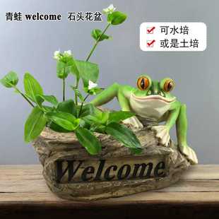 欧美情侣青蛙王子石头welcome多肉植物微景观水培花圃装饰品礼物