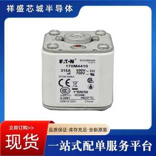 170M1317 170M1316 170M1318 170M1315 高压限流熔断器170M1314