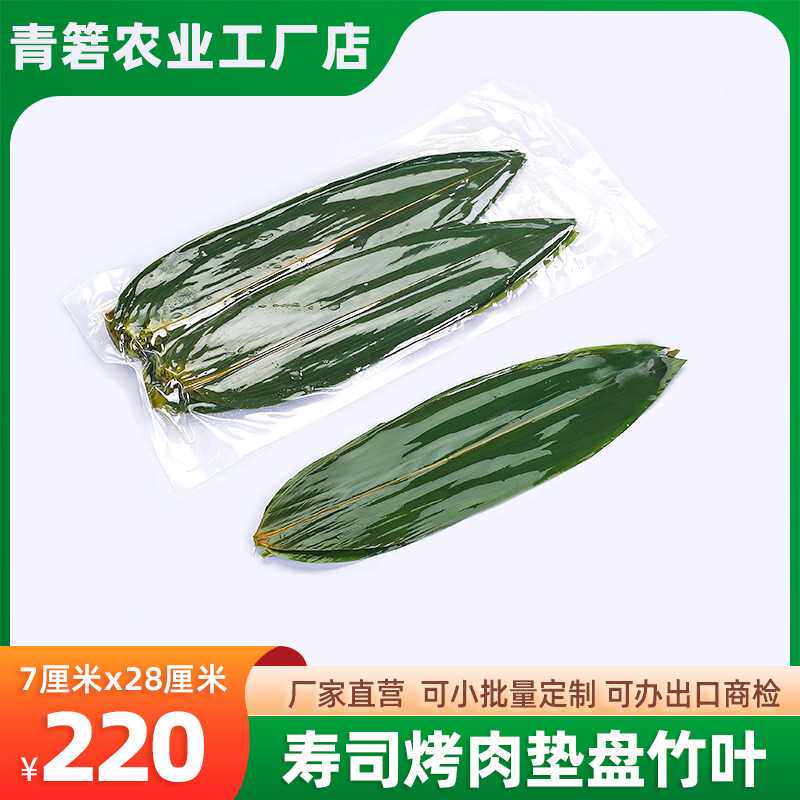 寿司竹叶粽子叶箬叶摆盘日式料理小修尖保鲜粽叶现摘植物天然装饰