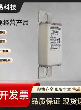 170M1865 170M1866 170M1867 170M1868 170M1869熔断器170M系列