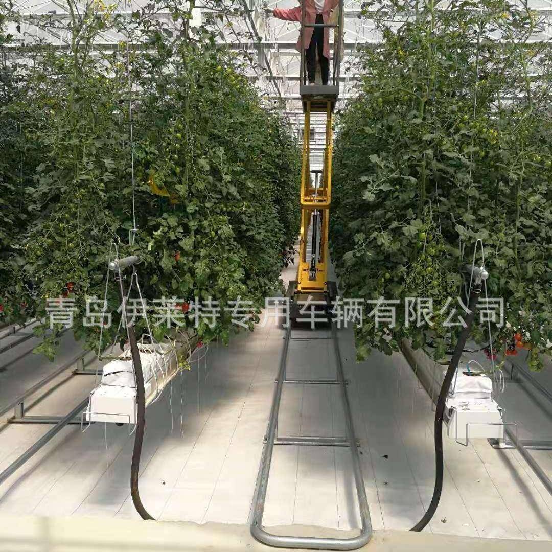 西红柿全自动自行式液压自行走登高自动高空作业厂家发货