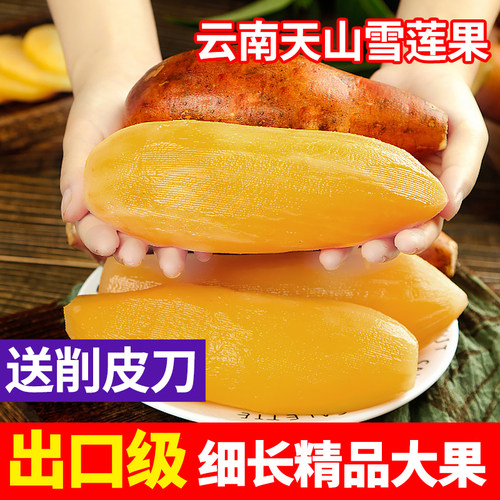 云南天山雪莲果当季新鲜水果