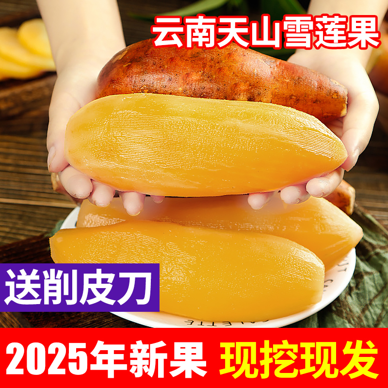 云南天山雪莲果当季新鲜水果