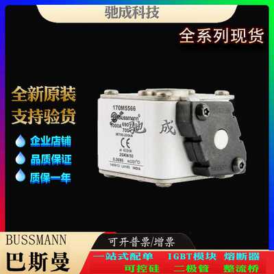巴斯曼170M5594 170M5595 170M5596 厂家供货 销售 全新熔断器
