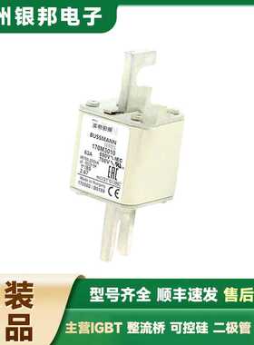 供应全新 170M3675 170M3678 170M3688 低压快速熔断器