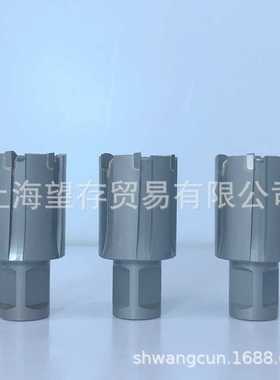 EST钢轨钻头 铁轨钻头 电务钻头 开孔钻头CWR25S-31 31*25mm