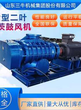 L81WD风机 L82WD L83WD L84WD L93WD L94WD L95WD L103WD罗茨风机