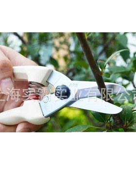 ARS爱丽斯花剪140DX园艺进口家用工具修剪粗树枝剪刀果树花剪园林