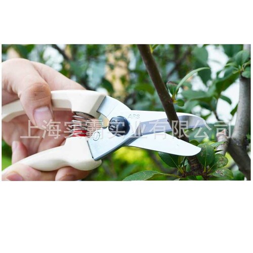 ARS爱丽斯花剪140DX园艺进口家用工具修剪粗树枝剪刀果树花剪园林