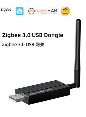 ZBDongle-P zigbee桥接器Zigbee3.0 usb dongle home assistant